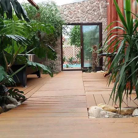 Wyspa Kampinos Brochów