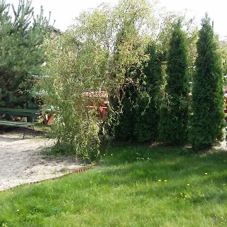 Wyspa Kampinos *
